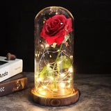 Galaxy Rose Artificial  Decor