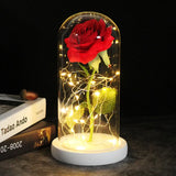 Galaxy Rose Artificial  Decor